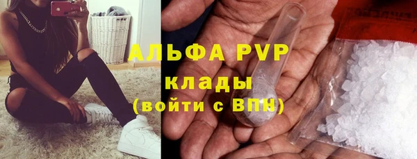 крисы Богданович
