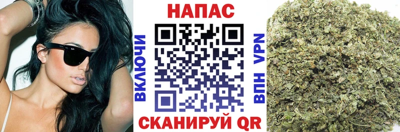 где продают наркотики  OMG ссылка  Шишки марихуана планчик  Володарск 
